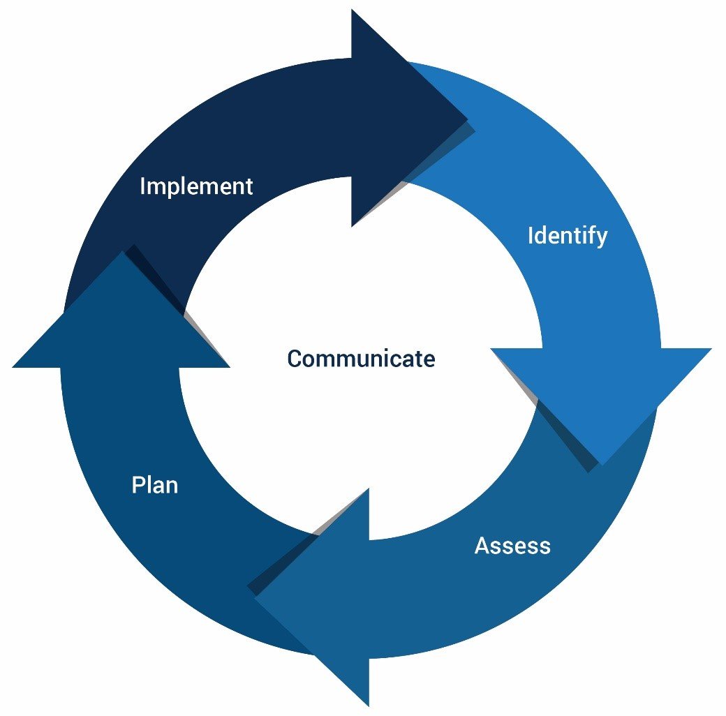 Risk management cycle