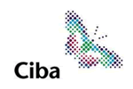 ILX financial awareness development used worldwide by Ciba Specialty Chemicals