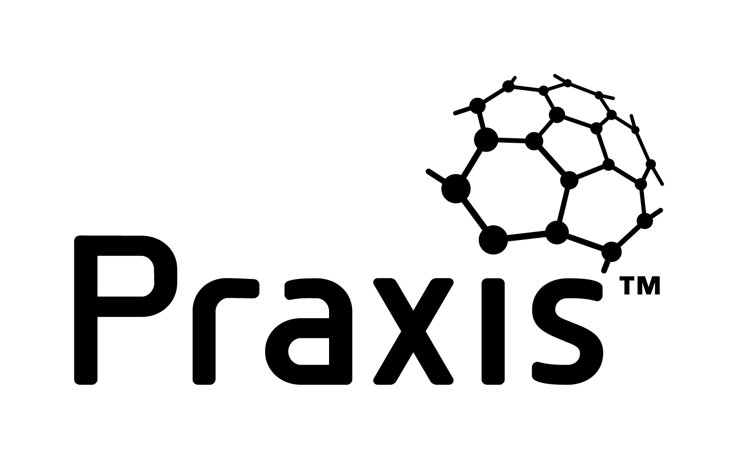 Praxis Framework